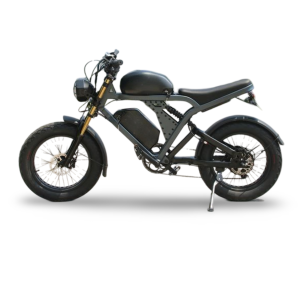 Adult Electric Bicycle A52V